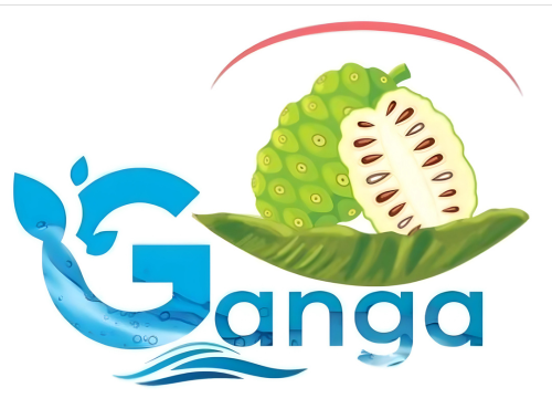 Gangadrip