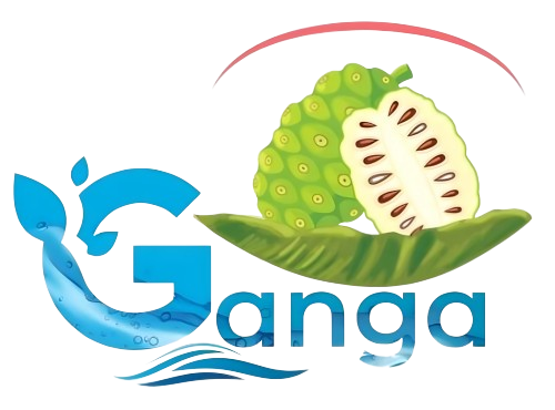 Gangadrip